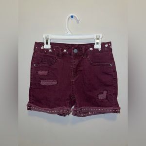 Hand Embroidered Distressed Maroon Shorts